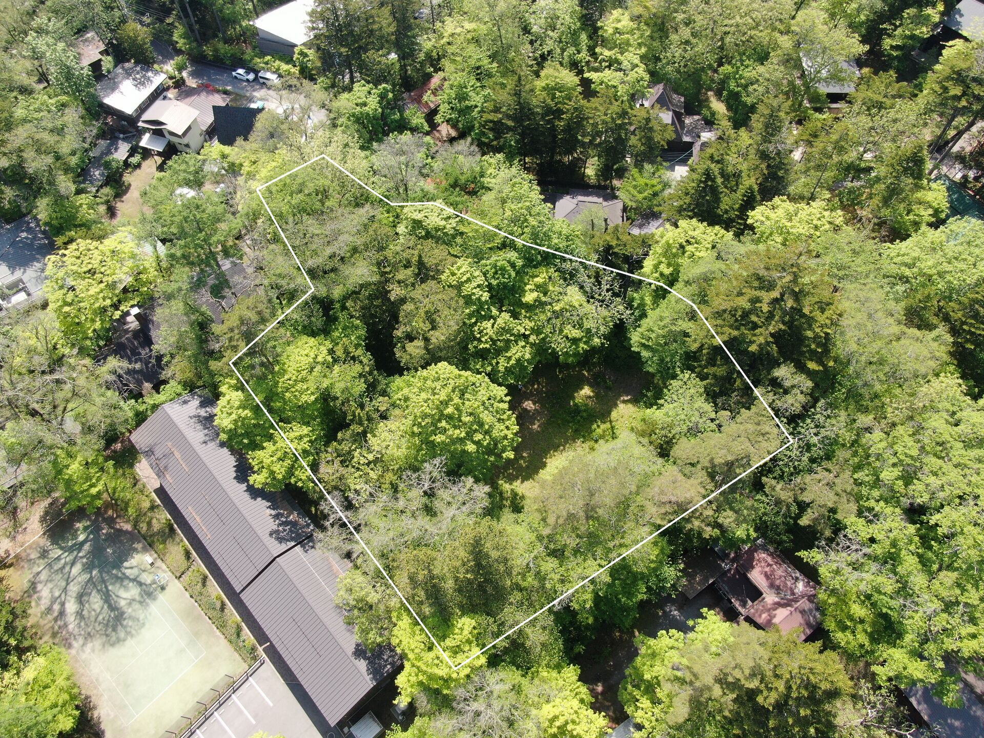 DJI_0254