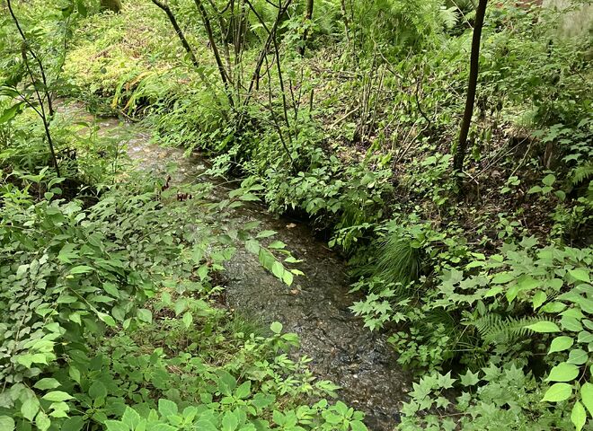 image_67504641