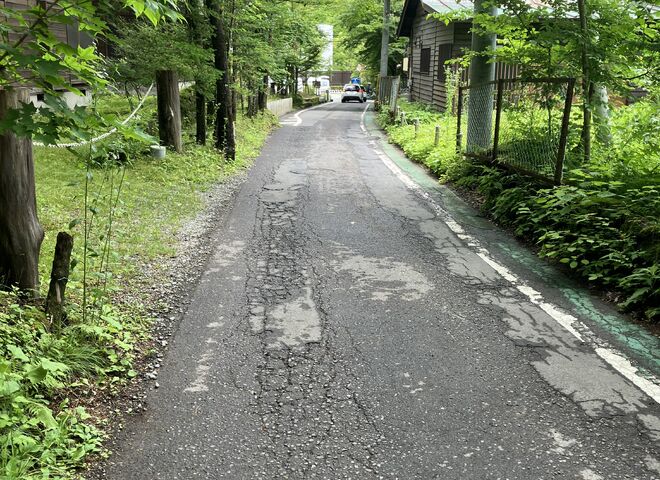 image_67219457