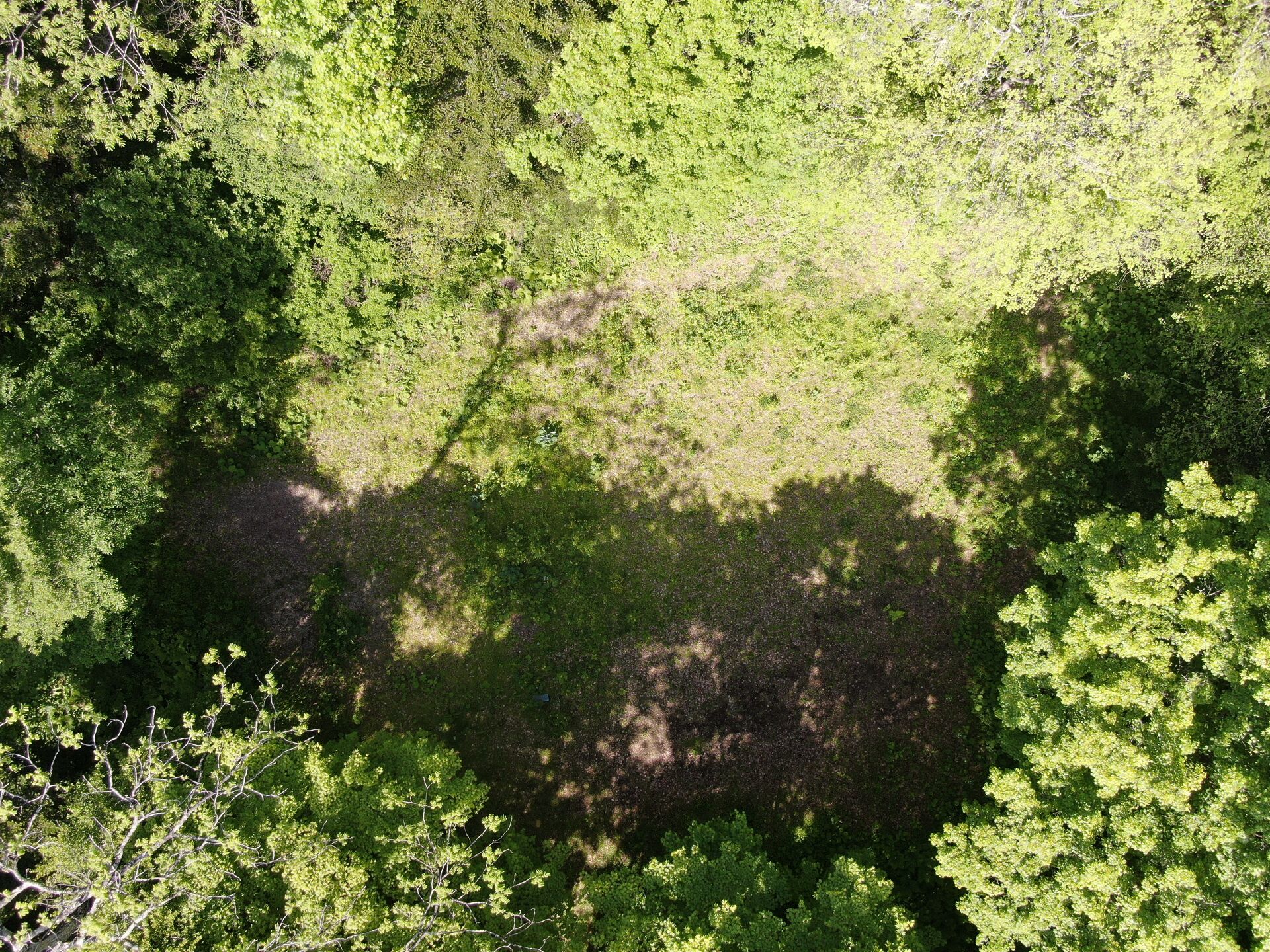 DJI_0245