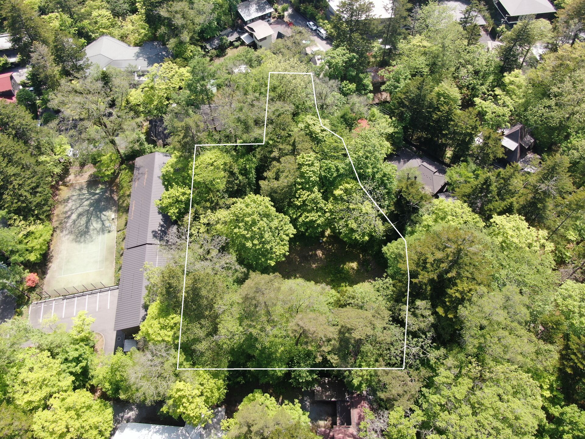 DJI_0255