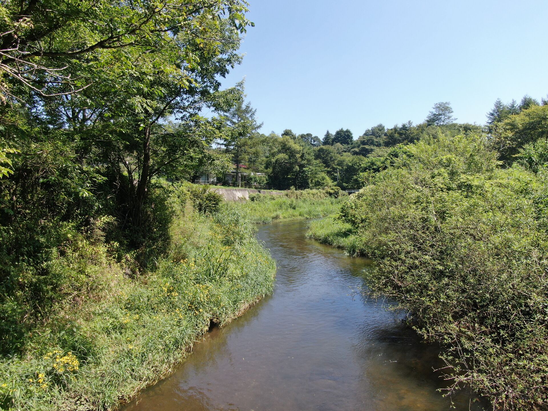 DJI_0501