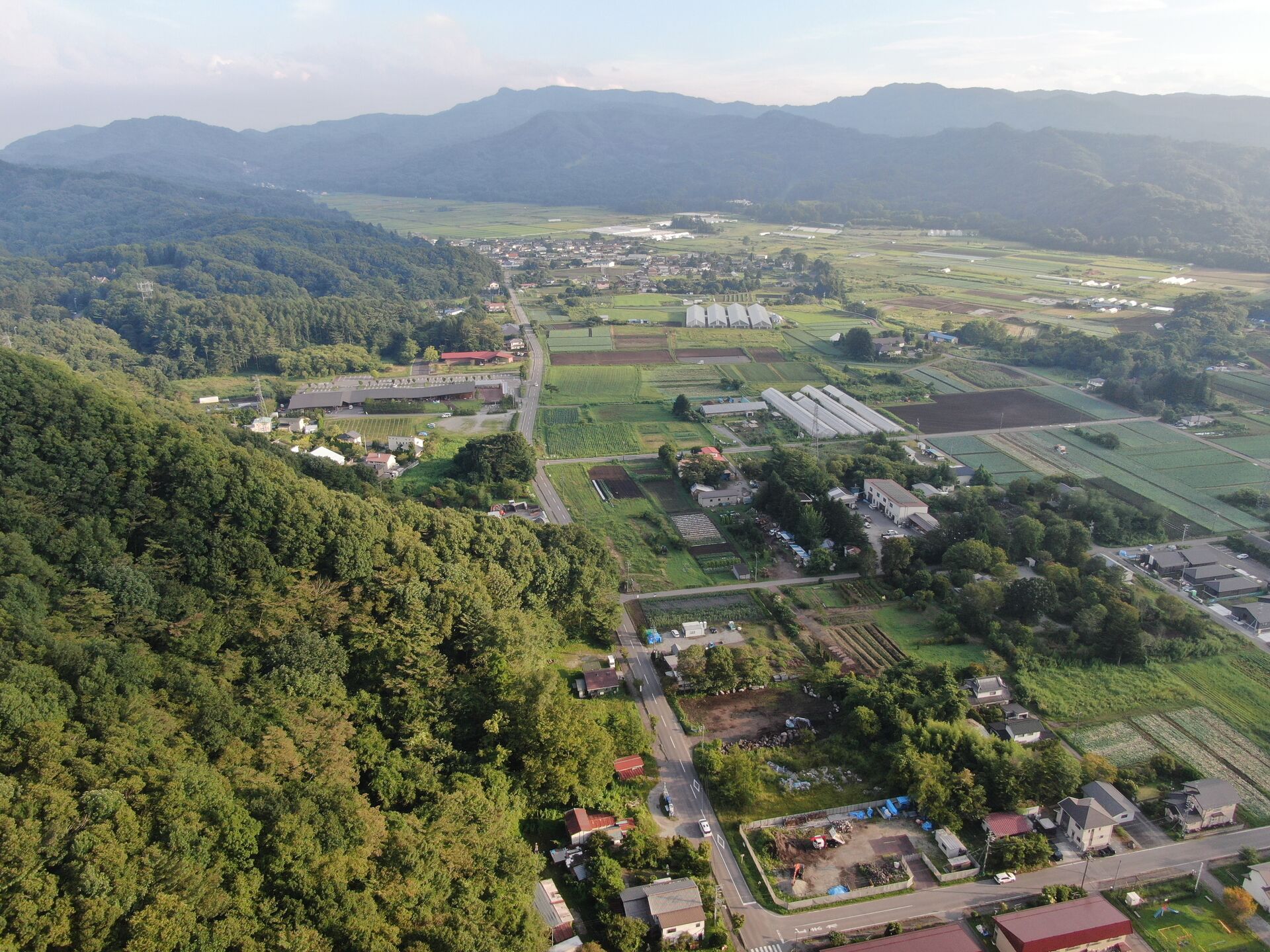 DJI_0590