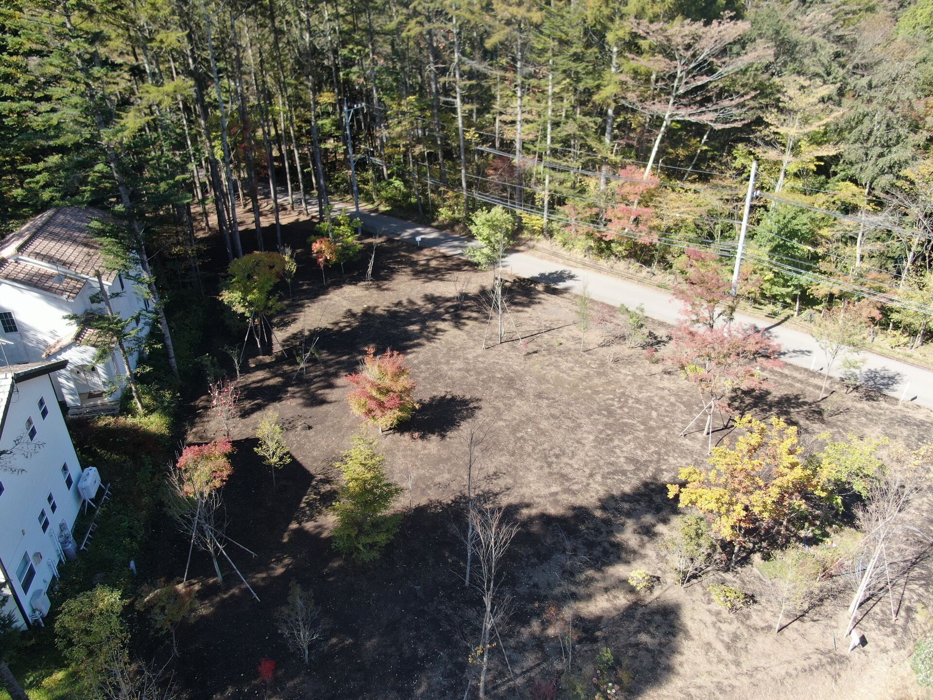 DJI_0632