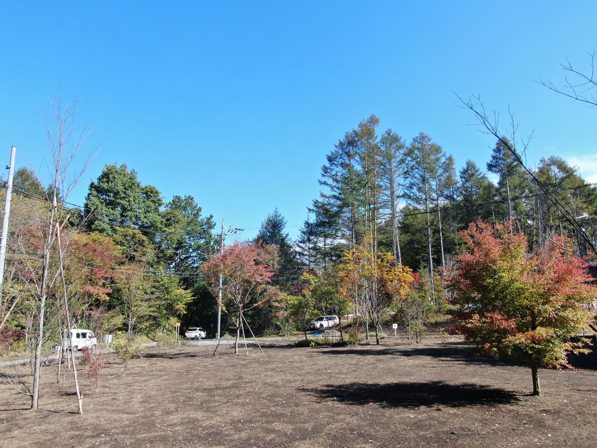 DJI_0630